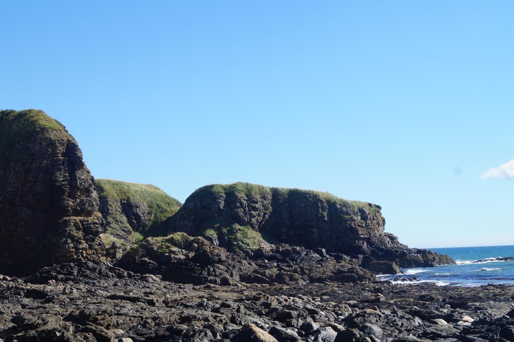 Toadhall Rooms Muchalls Eksteriør bilde